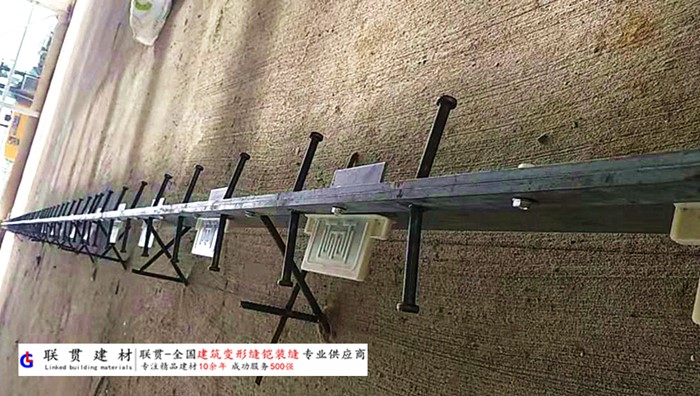 资阳市铠甲缝施工案例